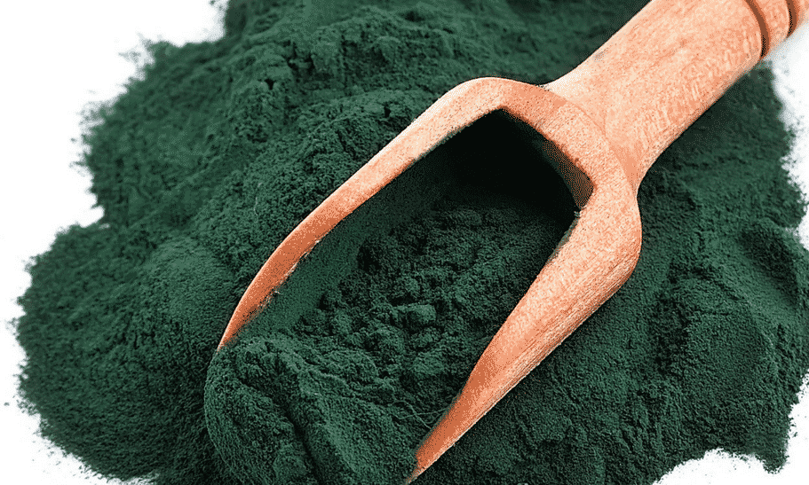 Read more about the article Spirulina – A Complete Protein