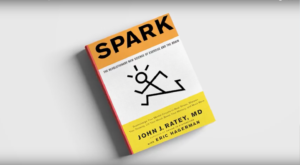 Spark Book Steve Jordan