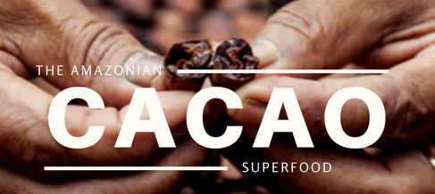 steve jordan benefits of cocoa